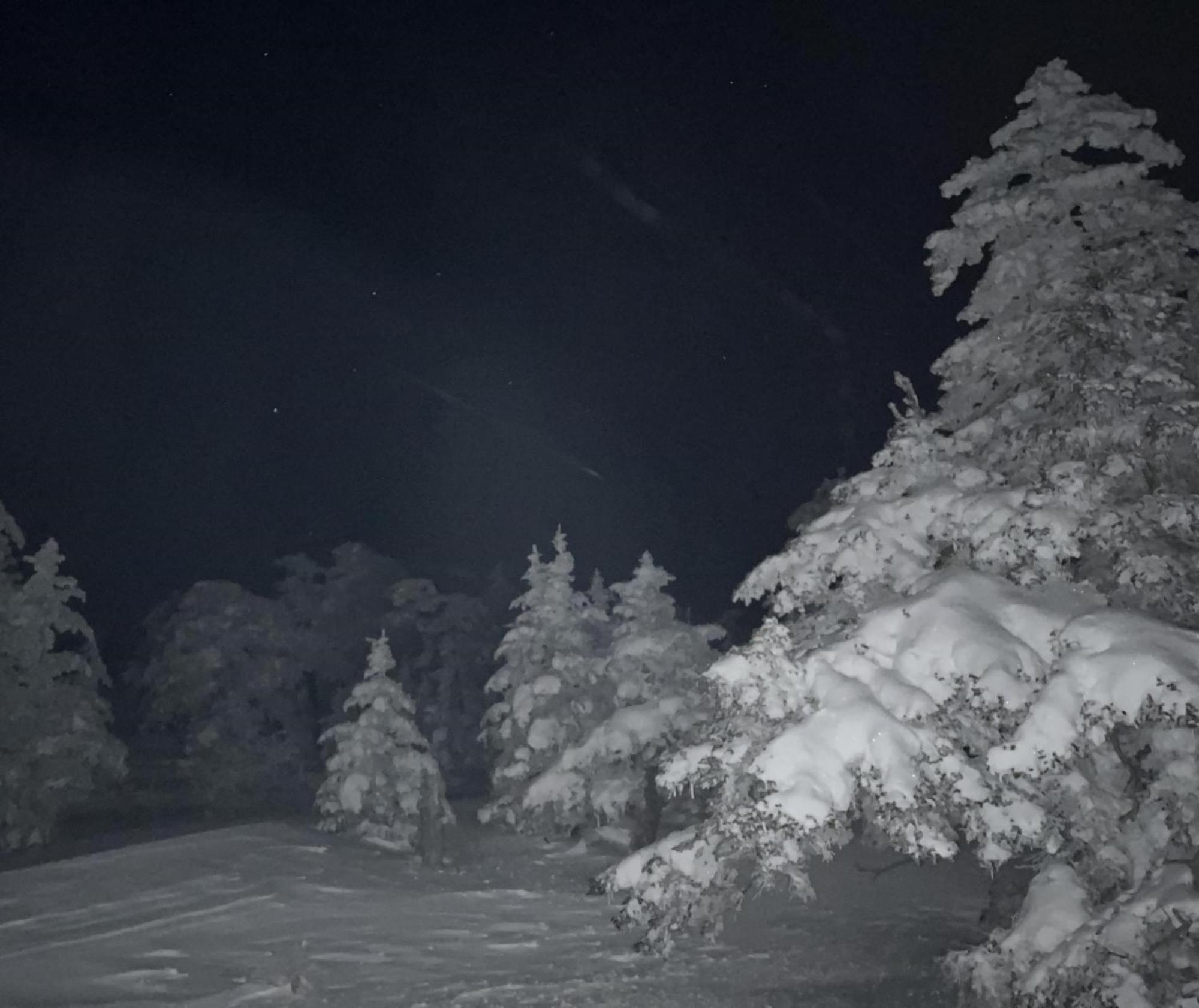 Sachinoyu Hotel Shiga Kogen Yamanouchi  Esterno foto