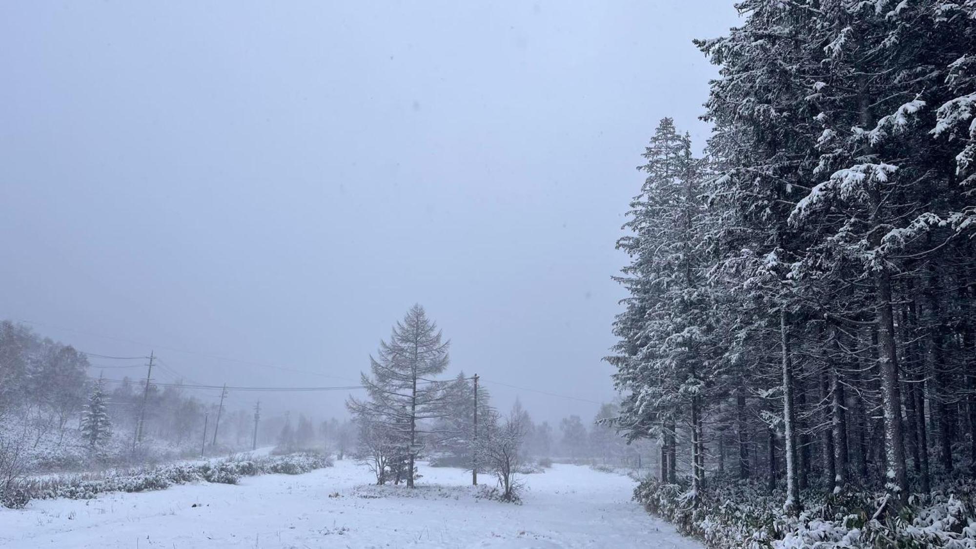 Sachinoyu Hotel Shiga Kogen Yamanouchi  Esterno foto