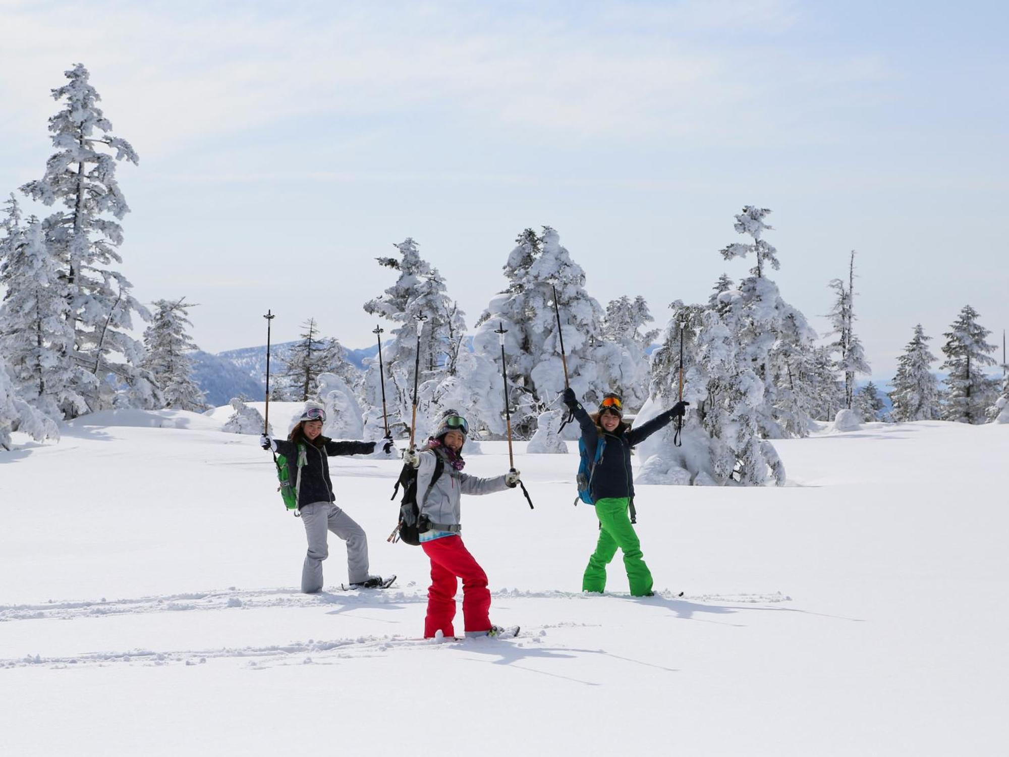 Sachinoyu Hotel Shiga Kogen Yamanouchi  Esterno foto