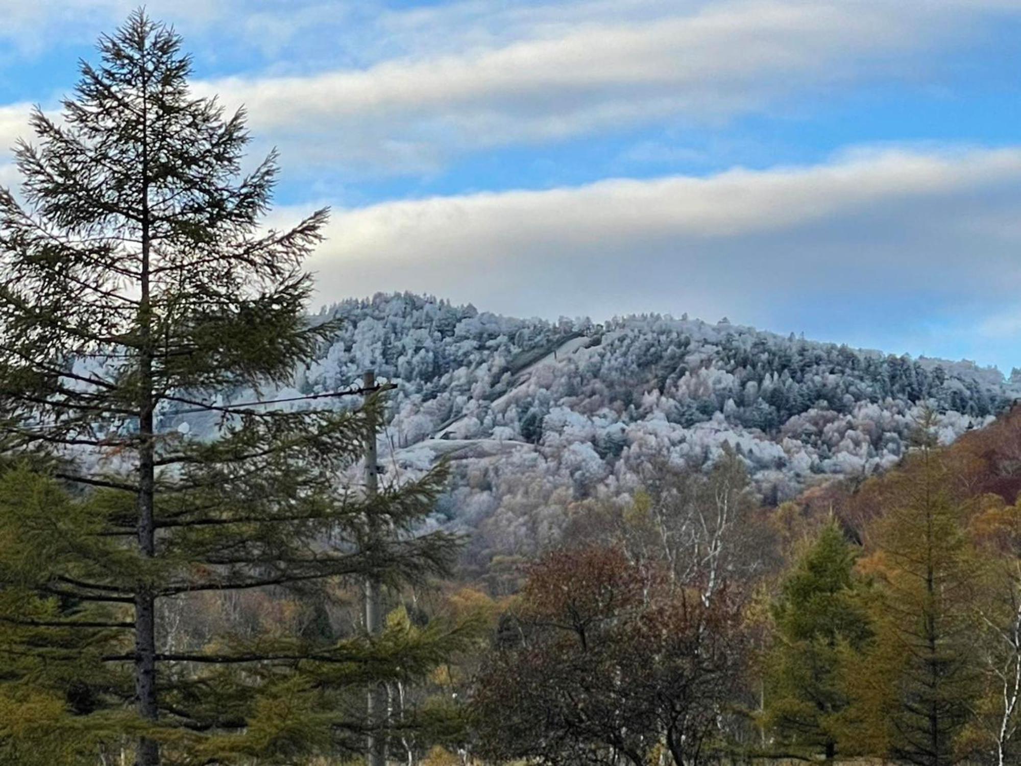 Sachinoyu Hotel Shiga Kogen Yamanouchi  Esterno foto